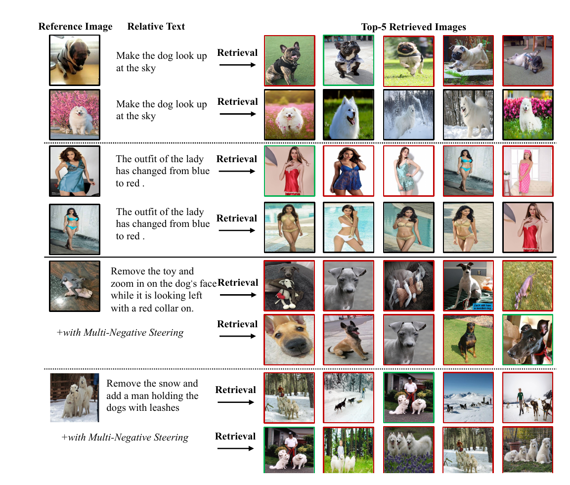 FlowCIR qualitative retrieval examples